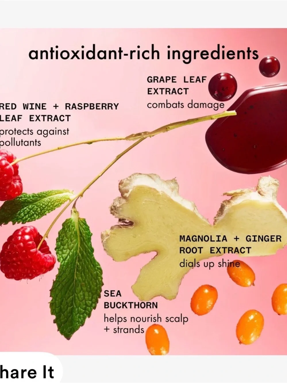 amika Mirrorball High Shine Antioxidant Shampoo